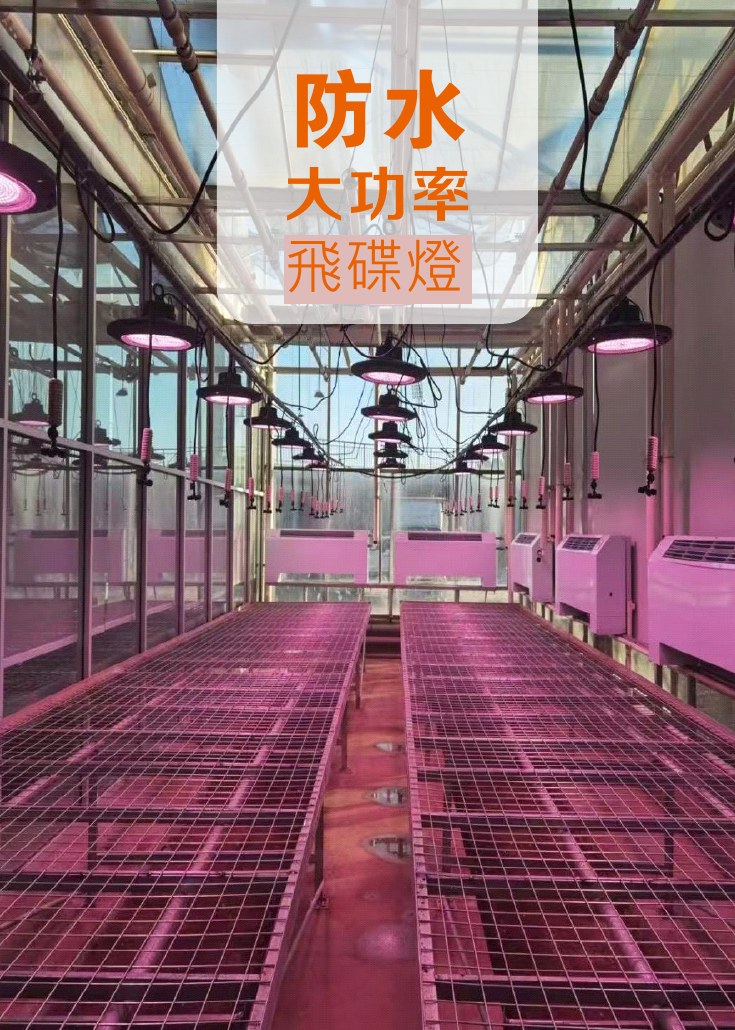 UFO 大功率植物補光燈應用於溫室場域